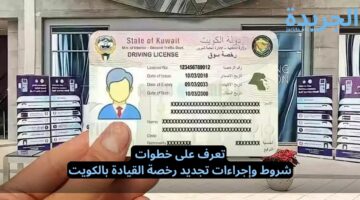 تعرف على خطوات شروط وإجراءات تجديد رخصة القيادة بالكويت