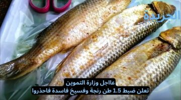 عااجل وزارة التموين تعلن ضبط 1.5 طن رنجة وفسيخ فاسدة فاحذروا