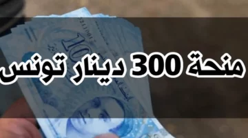 كل ما تحتاج معرفته عن منحة العاطلين عن العمل في تونس 2024.. الشروط والقيمة والأوراق المطلوبة