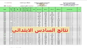 اعرف نتيجتك من المنزل.. رابط الاستعلام الإلكتروني عن نتائج السادس الابتدائي البصرة الفصل الدراسي الثاني 2024