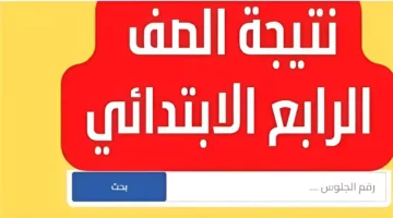 «ظهرت الآن»… نتيجة الصف الرابع الابتدائي بمحافظة الجيزة الدور الأول 2024!!