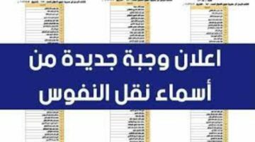 تعرف على المشمولين في خدمة نقل النفوس في العراق بالتفصيل