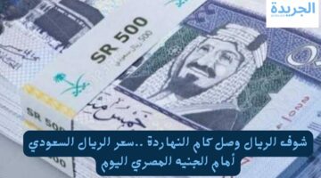 شوف الريال وصل كام النهاردة.. سعر الريال السعودي أمام الجنيه المصري اليوم