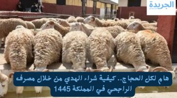 هام لكل الحجاج.. كيفية شراء الهدي من خلال مصرف الراجحي في المملكة 1445