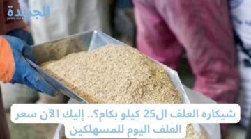 شيكاره العلف ال25 كيلو بكام؟.. إليك الآن سعر العلف اليوم للمسهلكين