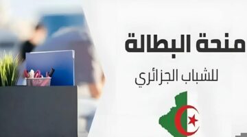 تعرف الآن على شروط منحة البطالة 2024 للتقديم والتجديد في الجزائر 