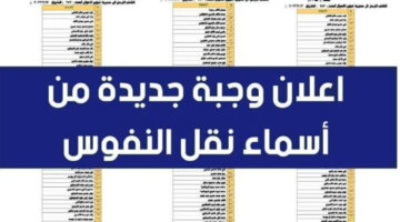 أسماء المقبولين في نقل النفوس في العراق الوجبة الجديدة 2024