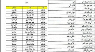 استعلم عنها دلوقتي.. اسماء المشمولين بالرعاية الاجتماعية العراق الدفعة الأخيرة وكيفية الاستعلام عنها