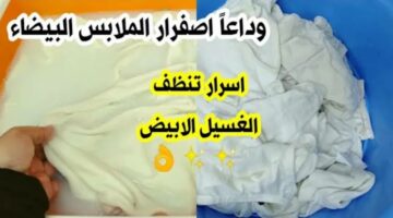 نضفي الهدوم قبل العيد.. طريقة مثالية لتنظيف الملابس البيضاء والملونة فى ثواني