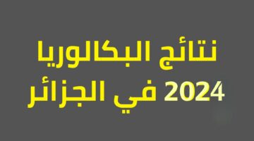 الآن برااابط مباشر.. خطوات الاستعلام عن نتيجة البكالوريا في الجزائر 2024