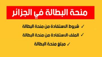 احصل عليها بكبسة زر.. ما هي آلية التسجيل في منحة البطالة بالجزائر؟ وما حقيقة صرف راتب بقيمة 10 ألف دينار جزائري؟