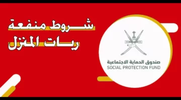 ما هي منفعة ربات المنزل في سلطنة عمان؟ وكيف يمكن الاستفادة منها؟