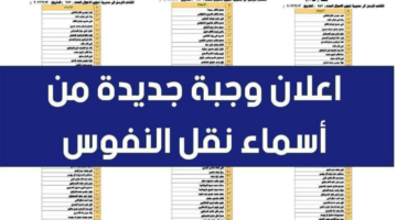 ما هي خطوات الاستعلام عن أسماء نقل النفوس العراق 2024