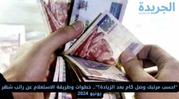 “احسب مرتبك وصل كام بعد الزيادة”.. خطوات وطريقة الاستعلام عن راتب شهر يونيو 2024