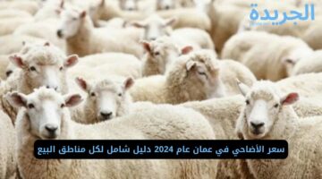 سعر الأضاحي في عمان عام 2024 دليل شامل لكل مناطق البيع