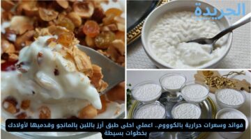 فوائد وسعرات حرارية بالكوووم.. اعملي احلى طبق أرز باللبن بِالمانجو وقدميها لأولادك بخطوات بسيطة