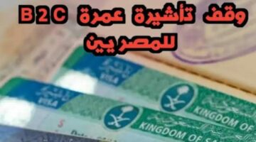 الحكومة السعودية تصدر قرار هام بشأن تأشيرة B2C للمصريين.. تعرف على التفاصيل 