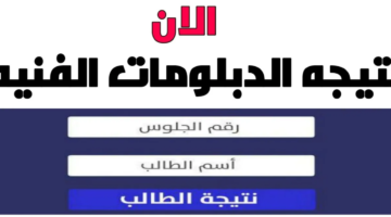 خطوات الاستعلام عن نتيجة الدبلومات الفنية 2024 في كافة المحافظات برقم الجلوس