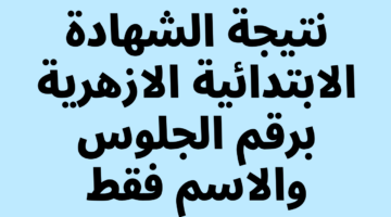 ظهرت الآن.. نتيجة الشهادة الابتدائية الأزهرية الدور الأول برقم الجلوس