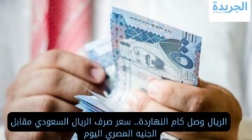 الريال وصل كام النهاردة.. سعر صرف الريال السعودي مقابل الجنيه المصري اليوم