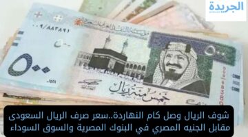 شوف الريال وصل كام النهاردة..سعر صرف الريال السعودى مقابل الجنيه المصري في البنوك المصرية والسوق السوداء 