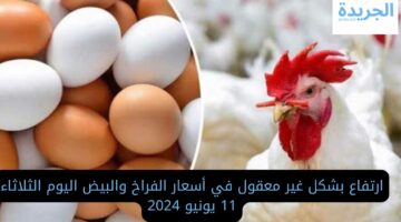 ارتفاع بشكل غير معقول في أسعار الفراخ والبيض اليوم الثلاثاء 11 يونيو 2024