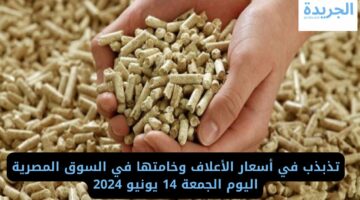 تذبذب في أسعار الأعلاف وخامتها في السوق المصرية اليوم الجمعة 14 يونيو 2024