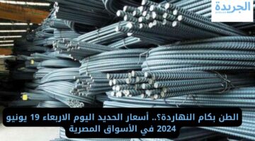 الطن بكام النهاردة؟.. أسعار الحديد اليوم الاربعاء 19 يونيو 2024 في الأسواق المصرية