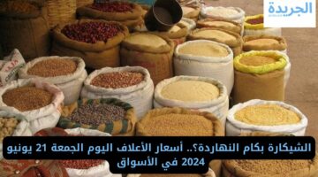 الشيكارة بكام النهاردة؟.. أسعار الأعلاف اليوم الجمعة 21 يونيو 2024 في الأسواق 