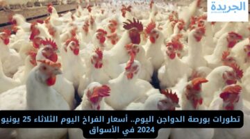 تطورات البورصة اليوم.. أسعار الفراخ اليوم الثلاثاء 25 يونيو 2024 في الأسواق 