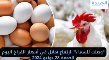 “وصلت للسماء”  ارتفاع هائل في أسعار الفراخ اليوم الجمعة 28 يونيو 2024