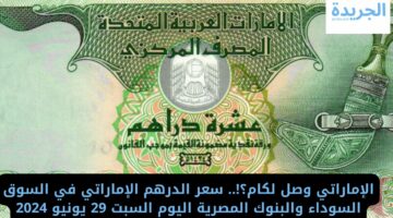 الإماراتي وصل لكام؟!.. سعر الدرهم الإماراتي في السوق السوداء والبنوك المصرية اليوم السبت 29 يونيو 2024