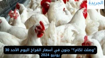 “وصلت لكام؟” جنون في أسعار الفراخ اليوم الأحد 30 يونيو 2024