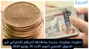 تطورات وتغيرات جديدة يشهدها الدرهم الإماراتي في السوق المصري اليوم الأحد 30 يونيو 2024