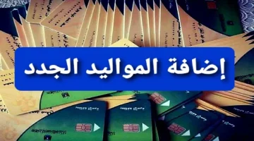 اعرف انتا منهم ولا لأ.. الفئات المستحقة لأضافة المواليد على بطاقة التموين