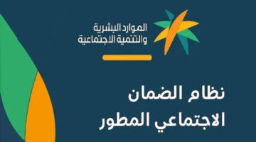 طريقة الاستعلام عن معاش الضمان الاجتماعي لشهر يوليو 2024: خطوة بخطوة