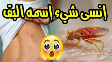 الحر ومشكلة احمي بيتك منه.. طريقة سهلة وسريعة للتخلص على بق الفراش في المنزل