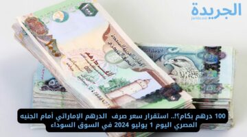 100 درهم بكام؟!.. استقرار سعر صرف  الدرهم الإماراتي أمام الجنيه المصري اليوم 1 يوليو 2024 في السوق السوداء 