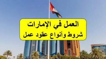 وظيفة أحلامك في الإمارات.. التخصصات والمهن المطلوبة وعقود عمل مجزية