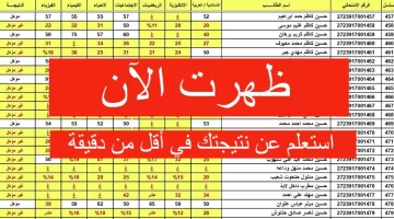 مبروك النجاح.. استخراج الان نتائج السادس الاعدادي العلمي والادبي بالعراق 2024