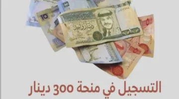 الاستعلام على منحة 300 دينار تونس وما هى الشروط المطلوبة