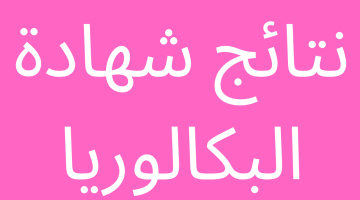 رابط مباشر الاستعلام على نتائج البكالوريا في الجزائر 2024