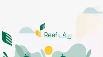 التسجيل في برنامج دعم ريف من خلال وزارة البيئة والزراعة