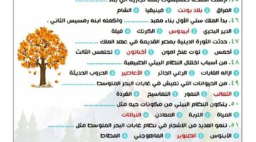 مراجعات نهائية.. 300 سؤال وإجابتها في الدراسات الاجتماعية لـ الصف الأول الإعدادي – الجريدة