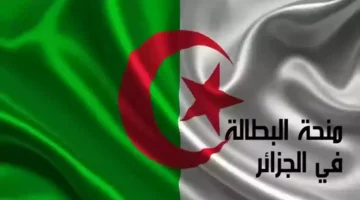 من هنا.. التسجيل في منحة البطالة الجزائر 2024