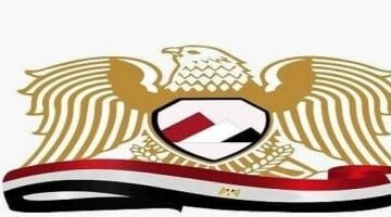 حزب “المصريين”: الدولة المصرية حققت خطوات مهمة فى خلق بنية تحتية تكنولوجية – الجريدة