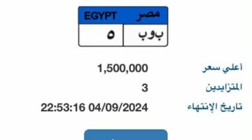 مخالفات المرور.. تعرف على طرق الحصول على لوحة مميزة لسيارتك إلكترونيا – الجريدة