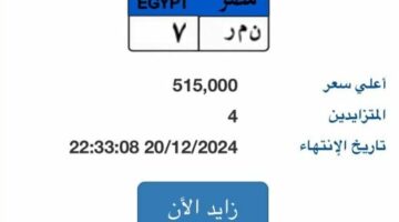 مزايدة شرسة بين 9 أشخاص يرفع سعر لوحة السيارة “ن م ر- 7 ” لـ 11 مليون جنيه – الجريدة