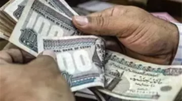 شروط تطبيق المعاش المبكر.. أيام قليلة ويبدأ تلقى الطلبات – الجريدة