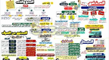 مراجعات نهائية في مقرر النحو ورقة واحدة لن يخرج عنها الامتحان لـ الصف الثالث الإعدادي – الجريدة